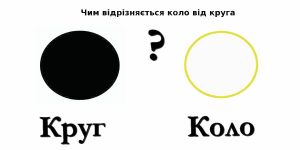 Чим відрізняється коло від круга: пояснюємо просто